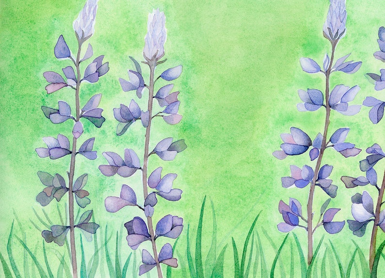 Bluebonnet Lupines Watercolor Greeting Card image 2