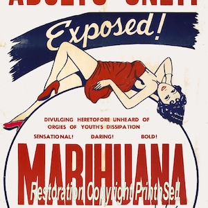 HI-RES Anti-Drug Printable Vintage Movie Poster (#2) Digital Image Download