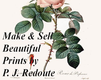P. J. Redoute ROSES ILLUSTRATIONS High Res. 300-400dpi Restored Images - Download