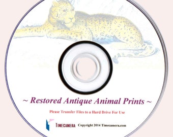 Uniquely Restored//Enhanced Printmaking Images ANTIQUE ANIMAL PRINTS