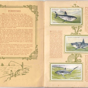 c1935 SEA FISHES Conjunto completo de álbuns com 50 cartas originais de cigarro e tabaco - por John Player