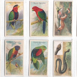 SERIE NATURA c1909 x10 rare carte originali di sigarette/tabacco di John Player & Son (retro blu)