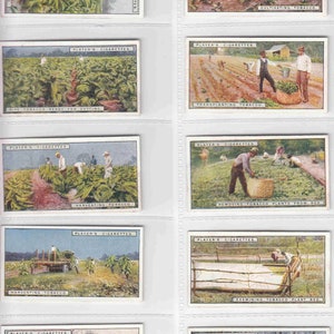 c1926 Von der PLANTATION zum SMOKER Komplettes Set mit 25 Original-Tabak-Karten von Player's