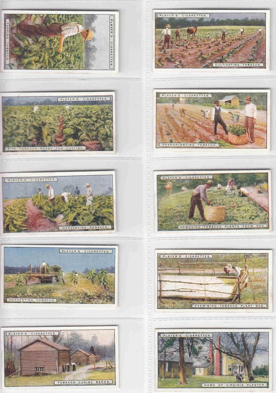 C1926 From PLANTATION to SMOKER Complete Set of 25 Original Tobacco Cigarette Cards by Player's