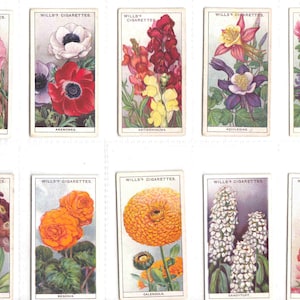 c1933 - GARDEN FLOWERS Complete Set of 50x ORIGINAL Cigarette / Tobacco Cards - by Wills c1933