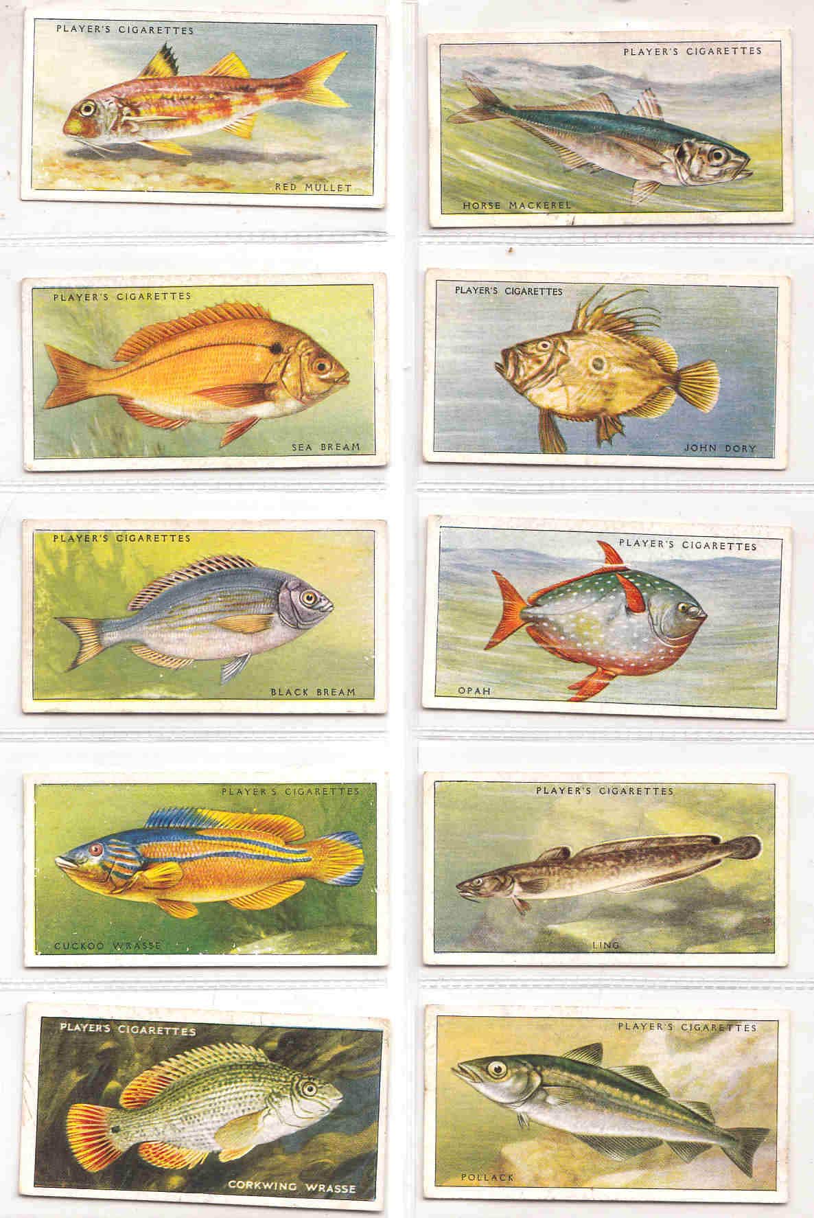 C1935 SEA FISHES Complete Set of 50 ORIGINAL Cigarette / Tobacco Cards - by John  Player