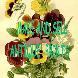 May include: A vintage illustration of a bouquet of colorful pansies with the text "MAKE AND SELL 'ANTIQUE' PRINTS" superimposed on the flowers.