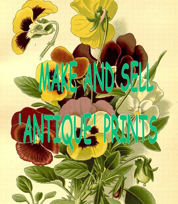 250 Rare Antique FLOWER PRINT IMAGES - High Resolution Printable  Download