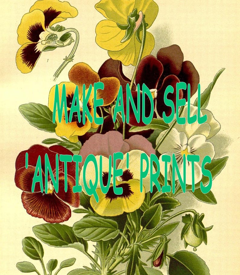 May include: A vintage illustration of a bouquet of colorful pansies with the text "MAKE AND SELL 'ANTIQUE' PRINTS" superimposed on the flowers.
