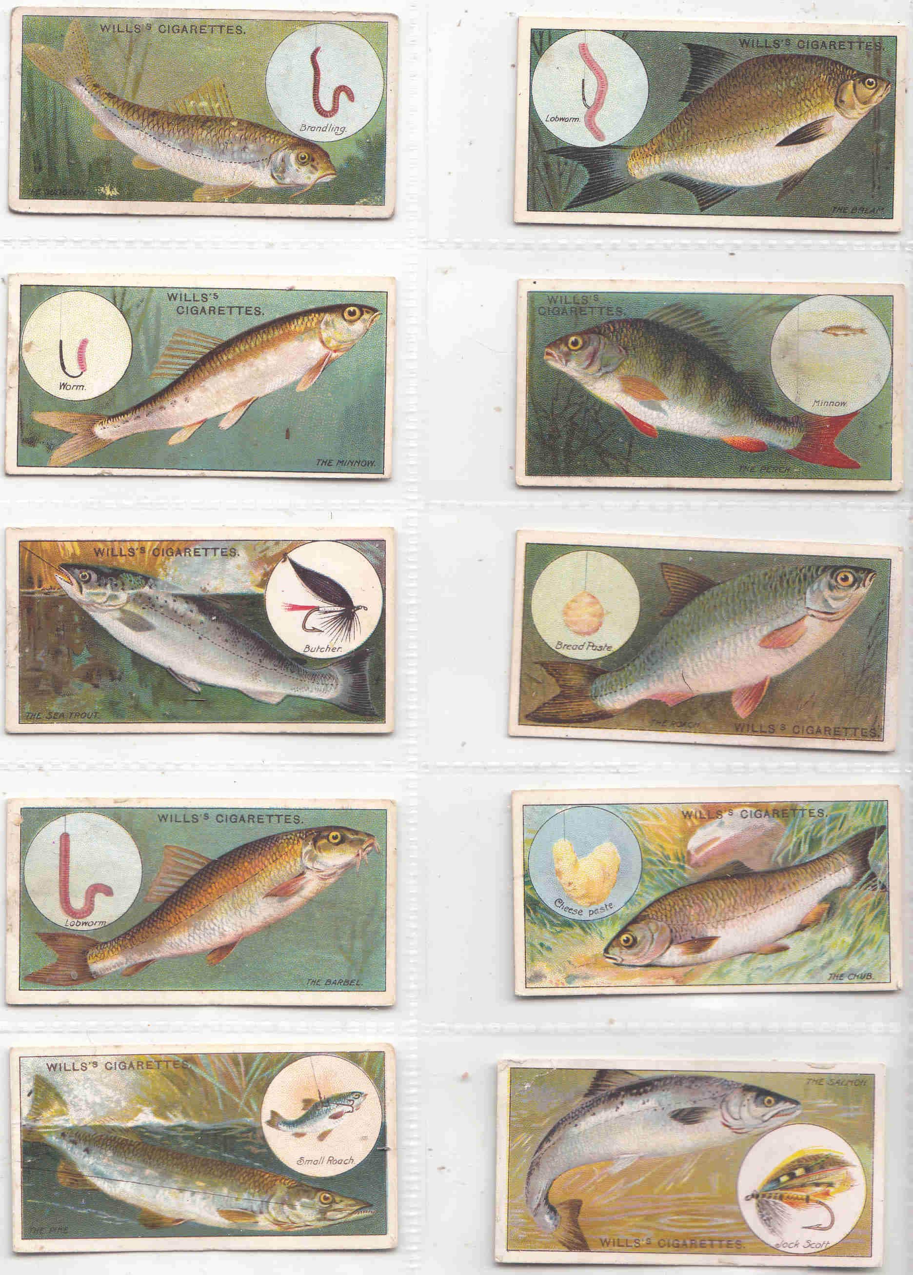 C1910 FISH and BAIT 50x Complete Set ORIGINAL Scarcer Cigarette / Tobacco  Cards - by Wills