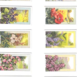 c1939 FLORES SELVAGENS Conjunto completo de 48 cartas originais de cigarro/tabaco - por Gallaher