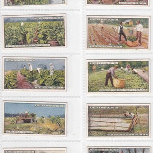 c1926 From PLANTATION to SMOKER Complete set van 25 originele tabakssigarettenkaarten van Player's