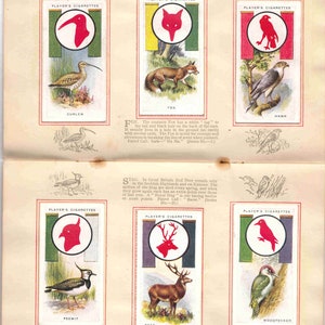 c1933 BOY SCOUT and Girl GUIDE Album Patrol Borden/emblemen Complete set van 50 originele sigaretten-/tabakkaarten - door J. Player