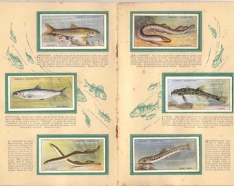 1933 Fresh Water Fishes Cards: John Player Complete Album Set