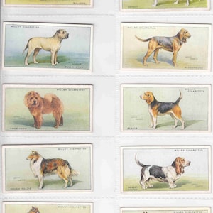 c1937 DOGS by Arthur Wardle Complete set van 50 x ORIGINELE sigaretten-/tabakkaarten van Wills
