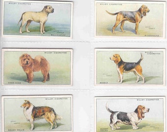 c1937 DOGS by Arthur Wardle Complete Set of 50x ORIGINAL Cigarette / Tobacco Cards by Wills