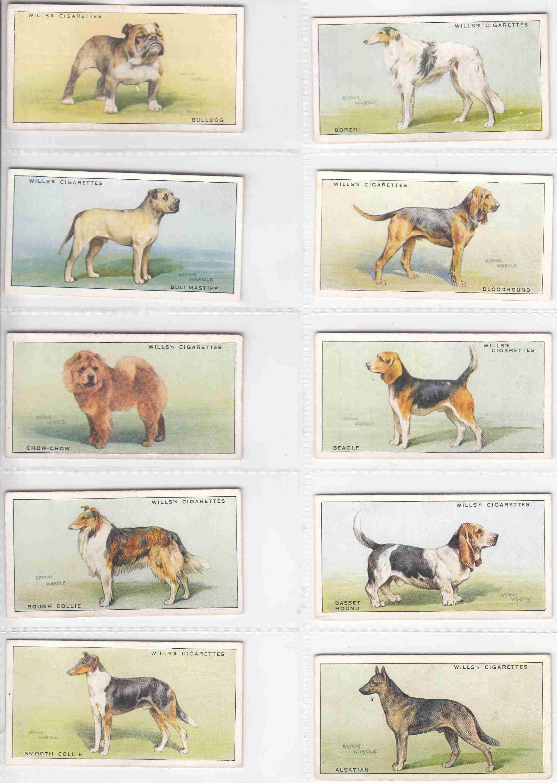 Dogs Cigarette Cards