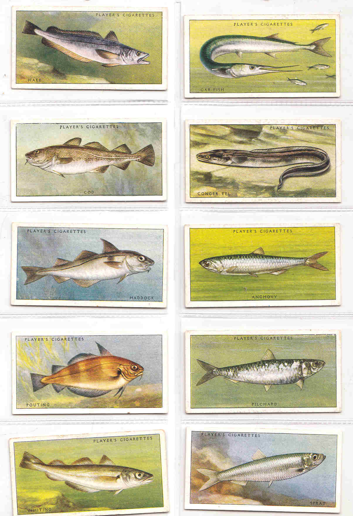 C1935 SEA FISHES Complete Set of 50 ORIGINAL Cigarette / Tobacco Cards - by John  Player