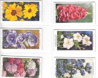 c1939 GARDEN FLOWERS Complete Set of 50x Original Cigarette / Tobacco Cards - by Wills