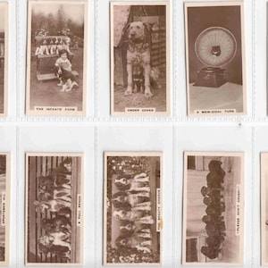 c1931 ECHTE FOTO'S Volledige set van 27 originele kaarten voor sigaretten/tabak van J. Millhoff