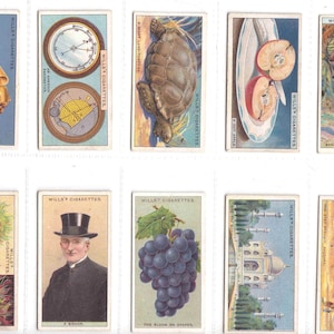 Könnte beinhalten: Eine Sammlung von zehn Vintage-Sammelkarten mit verschiedenen Bildern, darunter eine Schildkröte, ein geschnittener Apfel, eine Banane, ein Bischof, eine Traube, eine Moschee und ein Berg. Jede Karte trägt den Text "WILLS' CIGARETTES".
