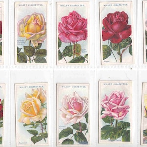 ROSES c1914 (2e serie) Complete SET van 50 x ORIGINELE sigaretten-/tabakkaarten - by Wills