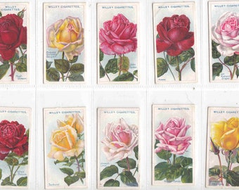 c1914 ROSES (2nd series) Complete SET of 50 x ORIGINAL Cigarette / Tobacco Cards - by Wills