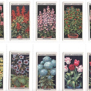 c1925 BLOEMENCULTUUR in potten - complete set van 50 x ORIGINELE sigaretten-/tabakkaarten - by Wills