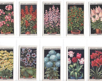 1925 Cigarette Cards Set - Flower Culture in Pots by Wills. Full Set of 50