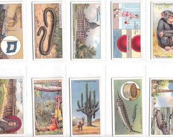 DO YOU KNOW (4th Series) Complete Set of 50x Original Cigarette/Tobacco Cards - by Wills c1933