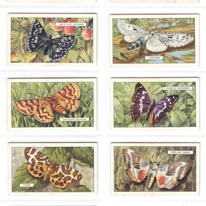 c1938 BUTERFLIES and MOTHS Complete set van 48 ORIGINELE sigaretten-/tabakkaarten van Gallaher