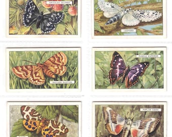 c1938 BUTTERFLIES and MOTHS Complete Set of 48 ORIGINAL Cigarette / Tobacco Cards by Gallaher