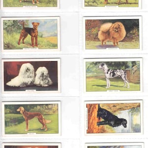 c1938 DOGS Complete set van 48x originele sigaretten-/tabakkaarten - 'Second Series' van Gallaher