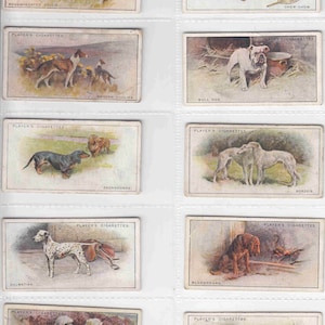 c1925 DOGS by Wardle (schilderachtige achtergrond) complete set van 50 originele sigaretten-/tabakkaarten - door spelers