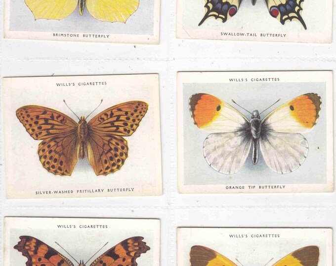 C1938 BUTTERFLIES and MOTHS Complete large Set of 40x ORIGINAL Cigarette / Tobacco Cards by Will