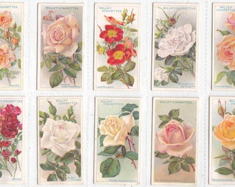 ORIGINAL c1912 ROSES Complete SET of 50x Cigarette / Tobacco Cards by Wills