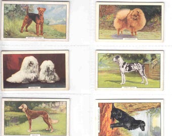 c1938 Complete Set of 48x Original Cigarette / Tobacco Cards - 'DOGS'  2nd series - by Gallaher