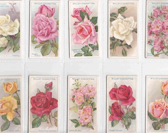 ORIGINAL c1926 Complete SET of 50x ROSES Cigarette / Tobacco Cards - by Wills