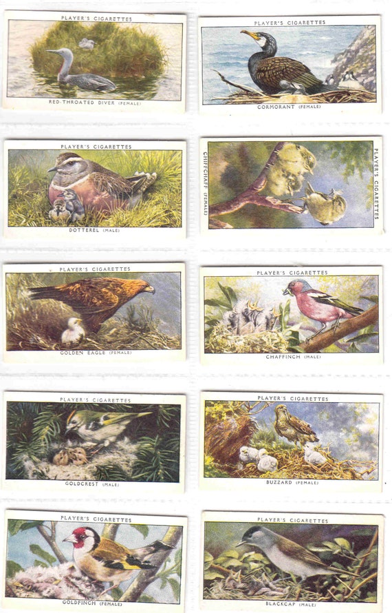 vintage tobacco cards CIGARETTE CARDS. Player Tobacco. MOTOR CARS 1st Series. (1936). (Full Set of 50) Hundreds of Forgotten Tobacco-Era Cards