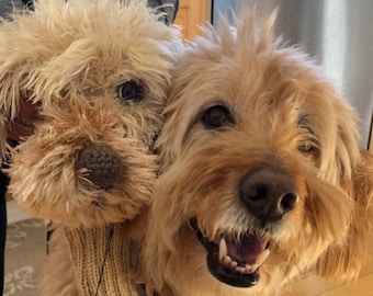 Dog Golf Head Cover Etsy