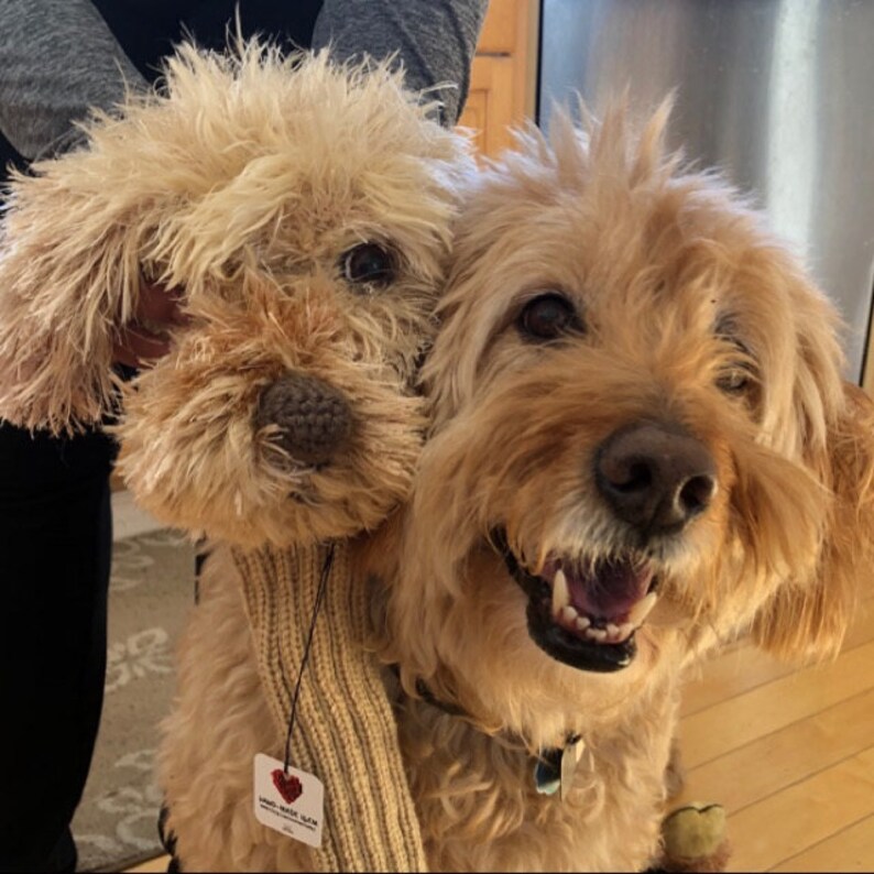 CUSTOM Dog Head Cover Etsy