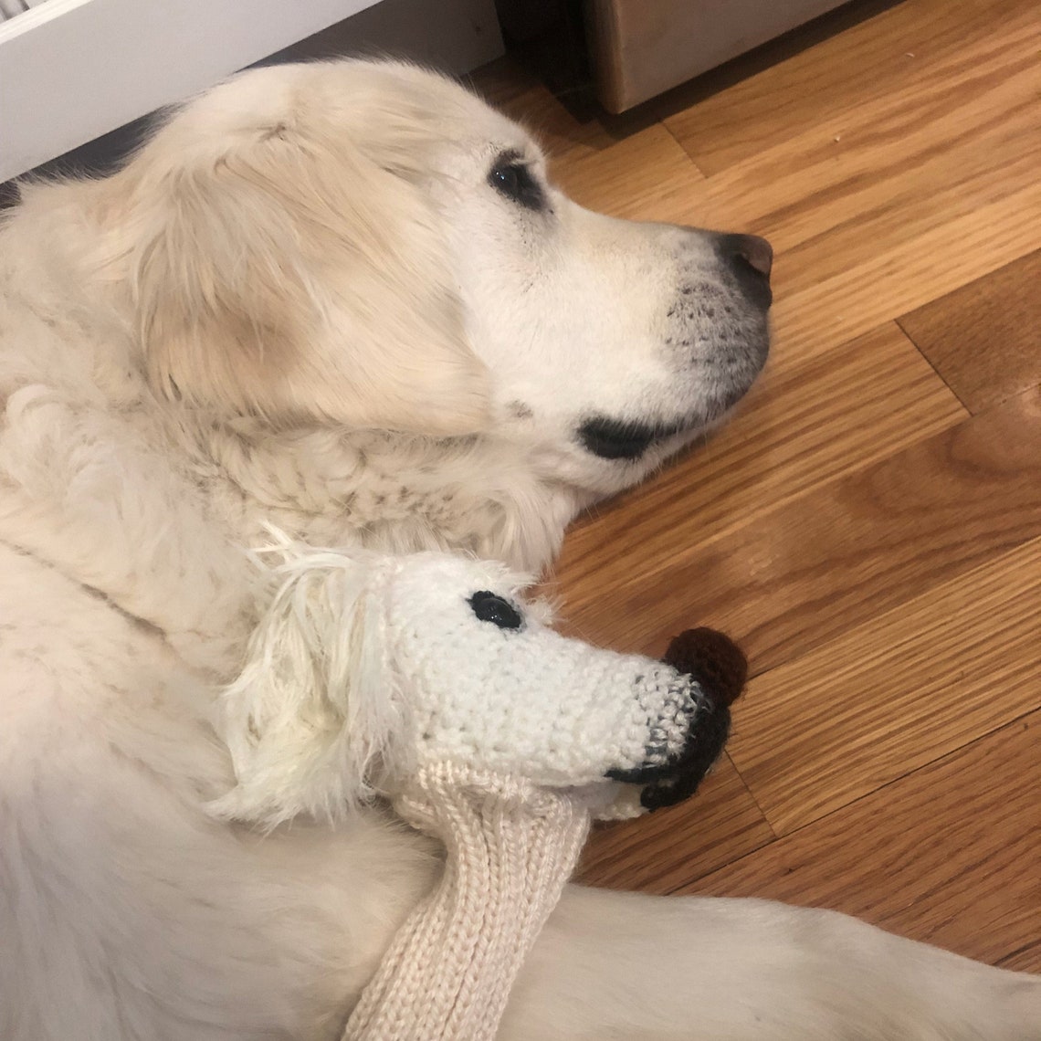 CUSTOM Dog Head Cover Etsy