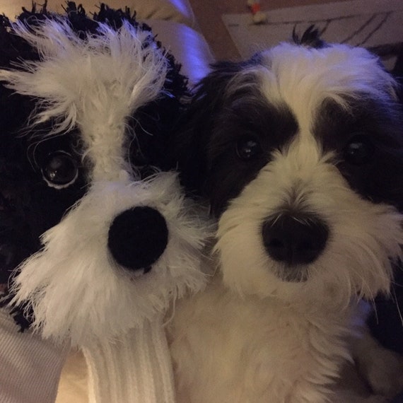 CUSTOM Dog Head Cover Etsy