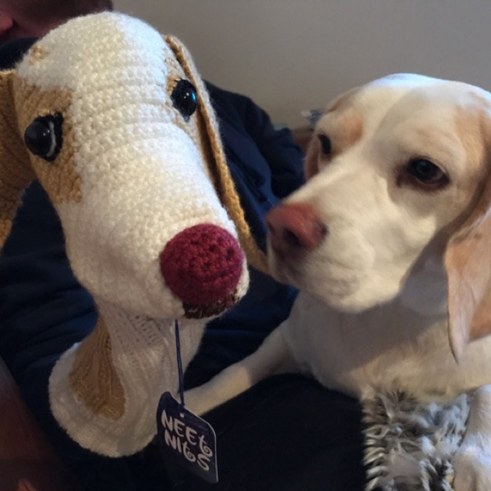 CUSTOM Dog Head Cover Etsy