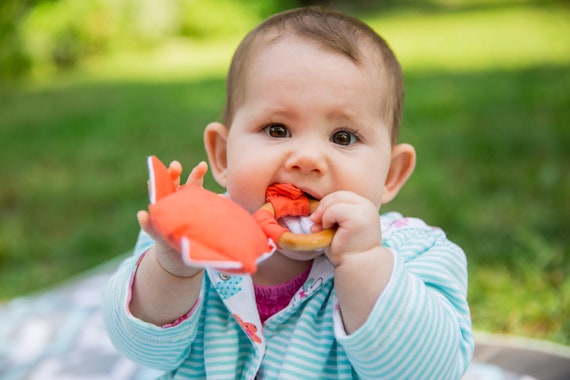 organic teething ring