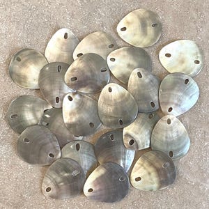 May include: A collection of gray and cream-colored shell pendants, each with two small holes and a single hole at the top. The pendants are arranged in a circular pattern on a light brown surface. The shells have a pearlescent sheen.