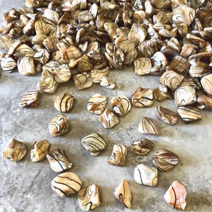 May include: A collection of polished, irregularly shaped beads with a marbled appearance. The beads are primarily beige and brown, with dark brown and black veining. Some beads have a pearlescent sheen, and the shapes vary from rounded to more angular.