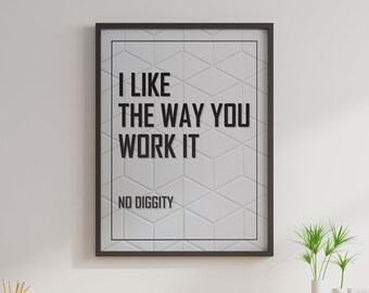 No Diggity Poster