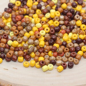 Mix Glass Seed Beads, 4mm 6/0 Glass Seed Beads, Mix Multicolor Seed Beads, Rocailles Beads, Beading Supplies, Bracelet Glass Beads #2940