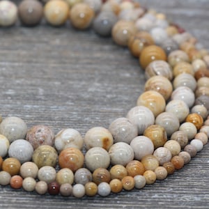 Fossil Coral Jasper Beads, Fossil Beads, Coral Gemstones Round Beads, Jewelry Making Bracelet Beads, Size 4mm 6mm 8mm 10mm #217